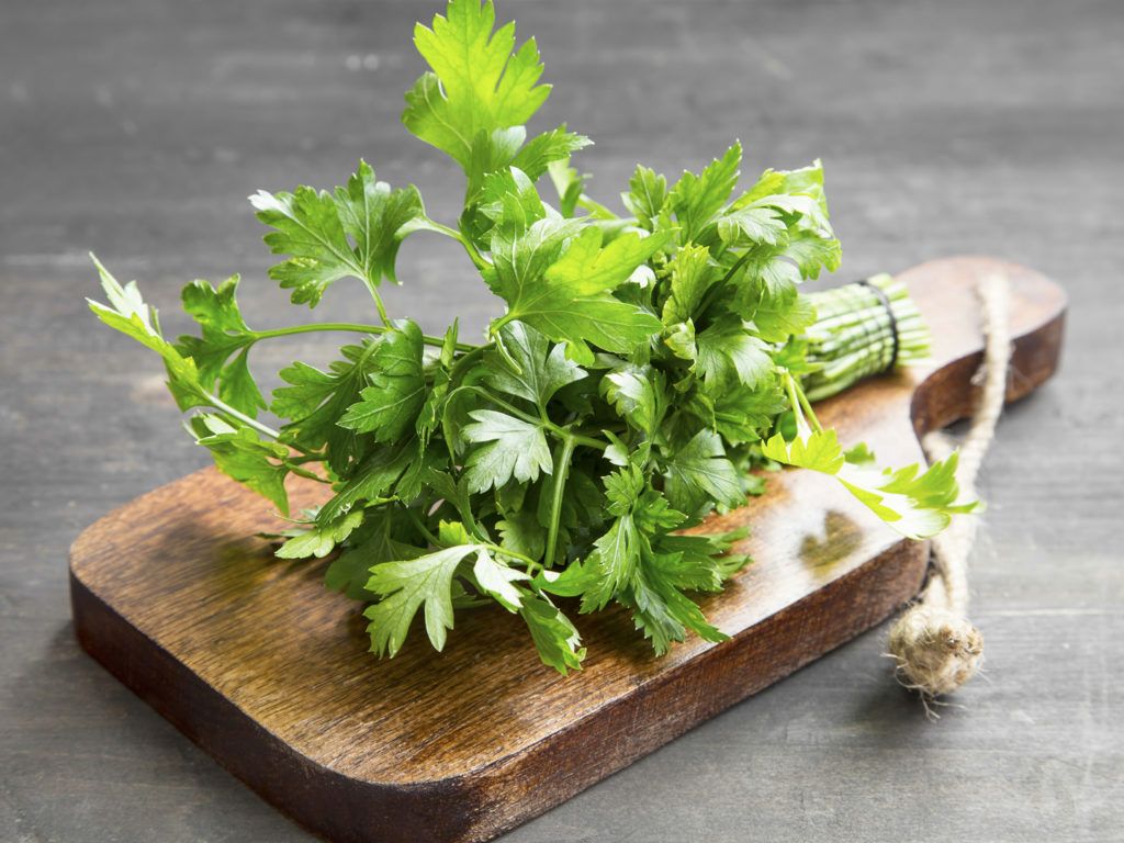 Lá Thơm Mùi Tây Parsley Gói 10g