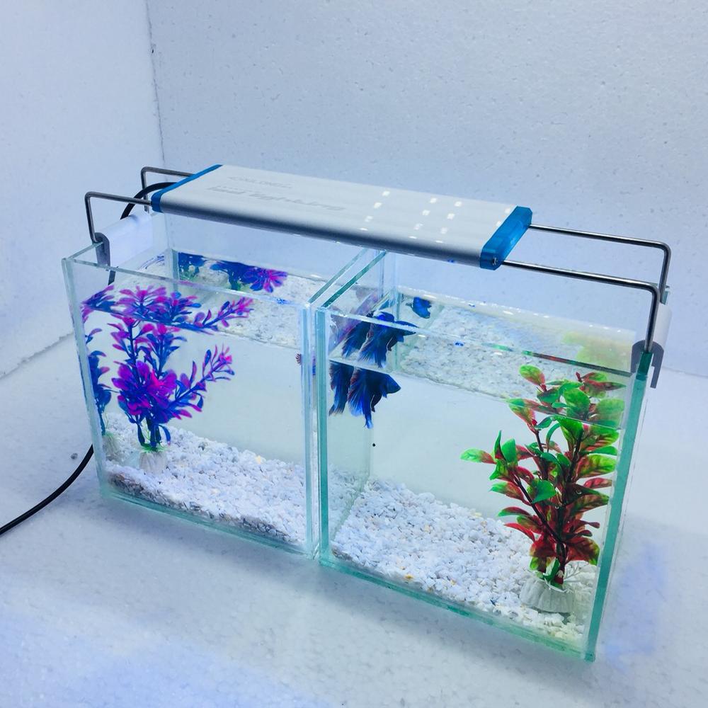 Bể cá mini để bàn combo 2 Bể cá có đèn led