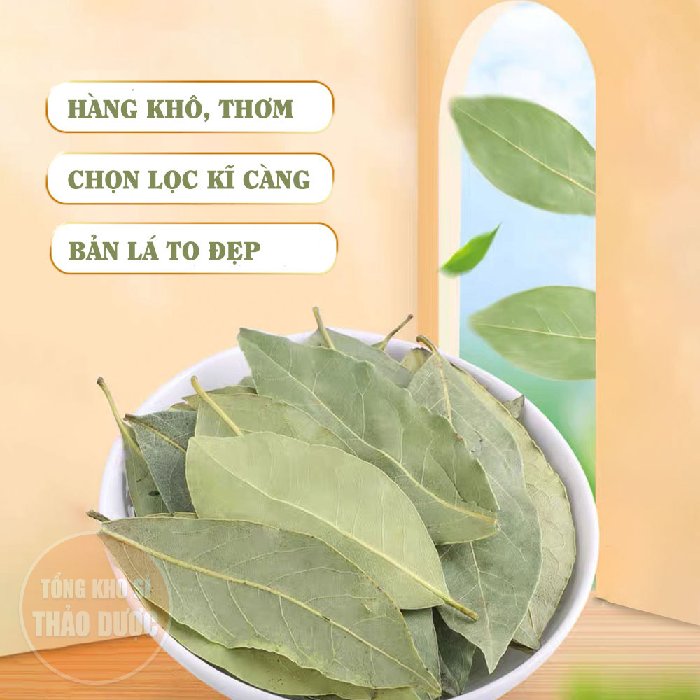 Lá nguyệt quế 50g, lá thơm, bay leaf, gia vị nấu ăn, trang trí, xông nhà, khử mùi, tốt cho tiêu hóa