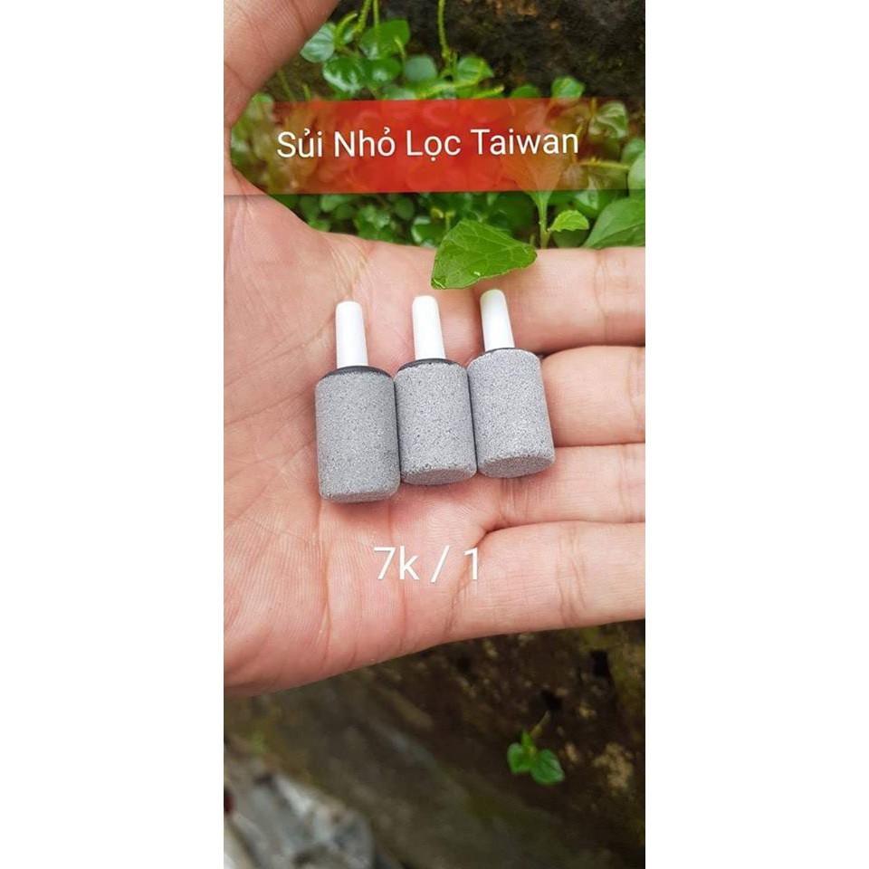 Sủi nhỏ siêu mịn vật liệu lọc đường kính 13mm - Guppy Xanh cam kết hàng đúng mô tả chất lượng đảm bảo