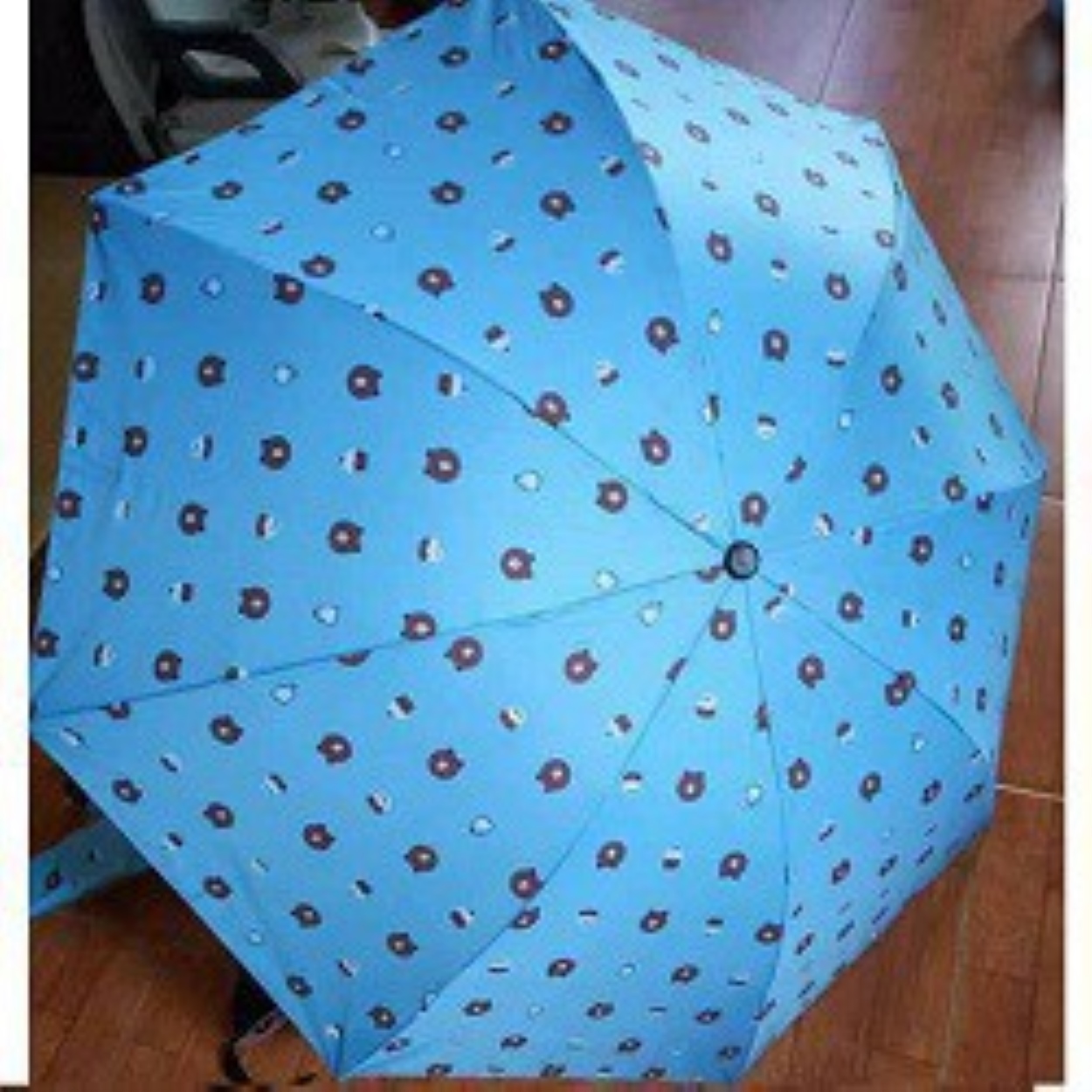 hot Ô gấu Brown gấp gọn