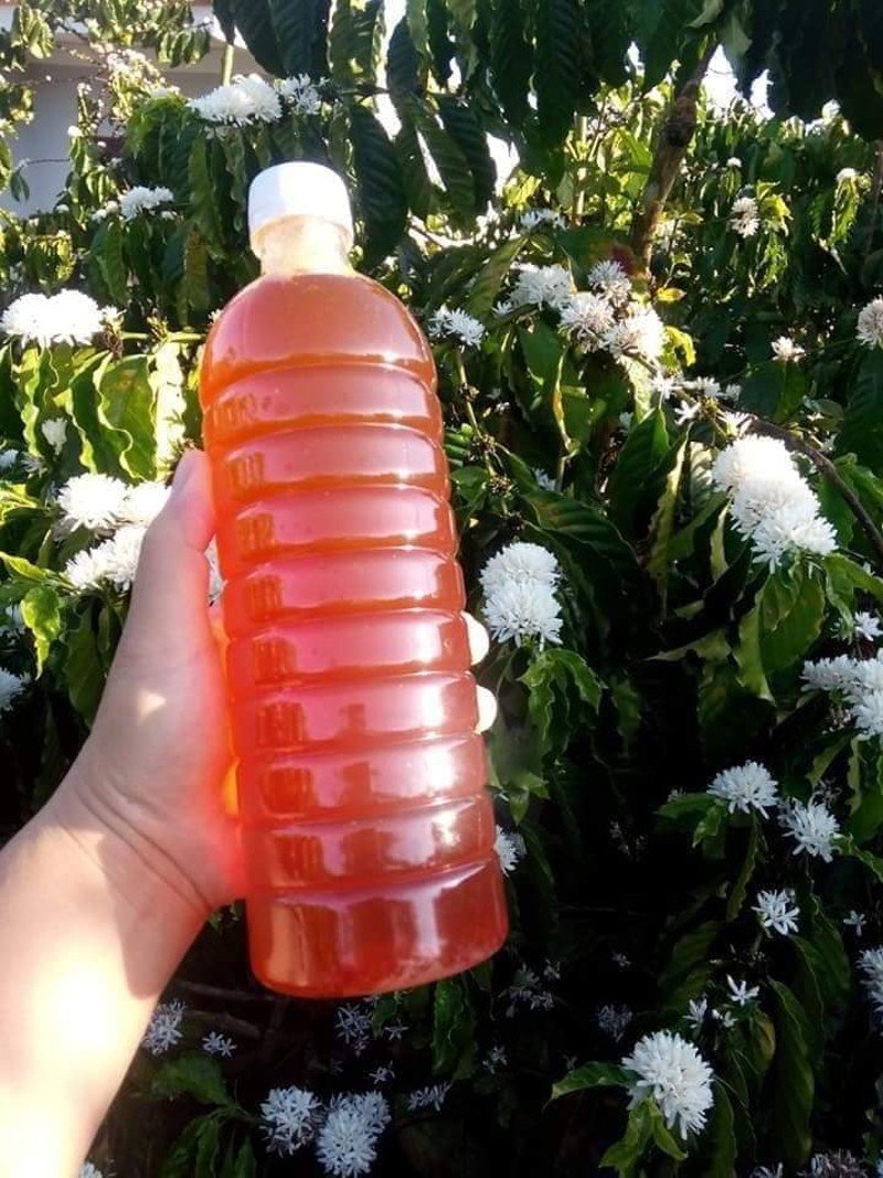 Mật Ong Nguyên Chất ĐăkLak Chai 1L