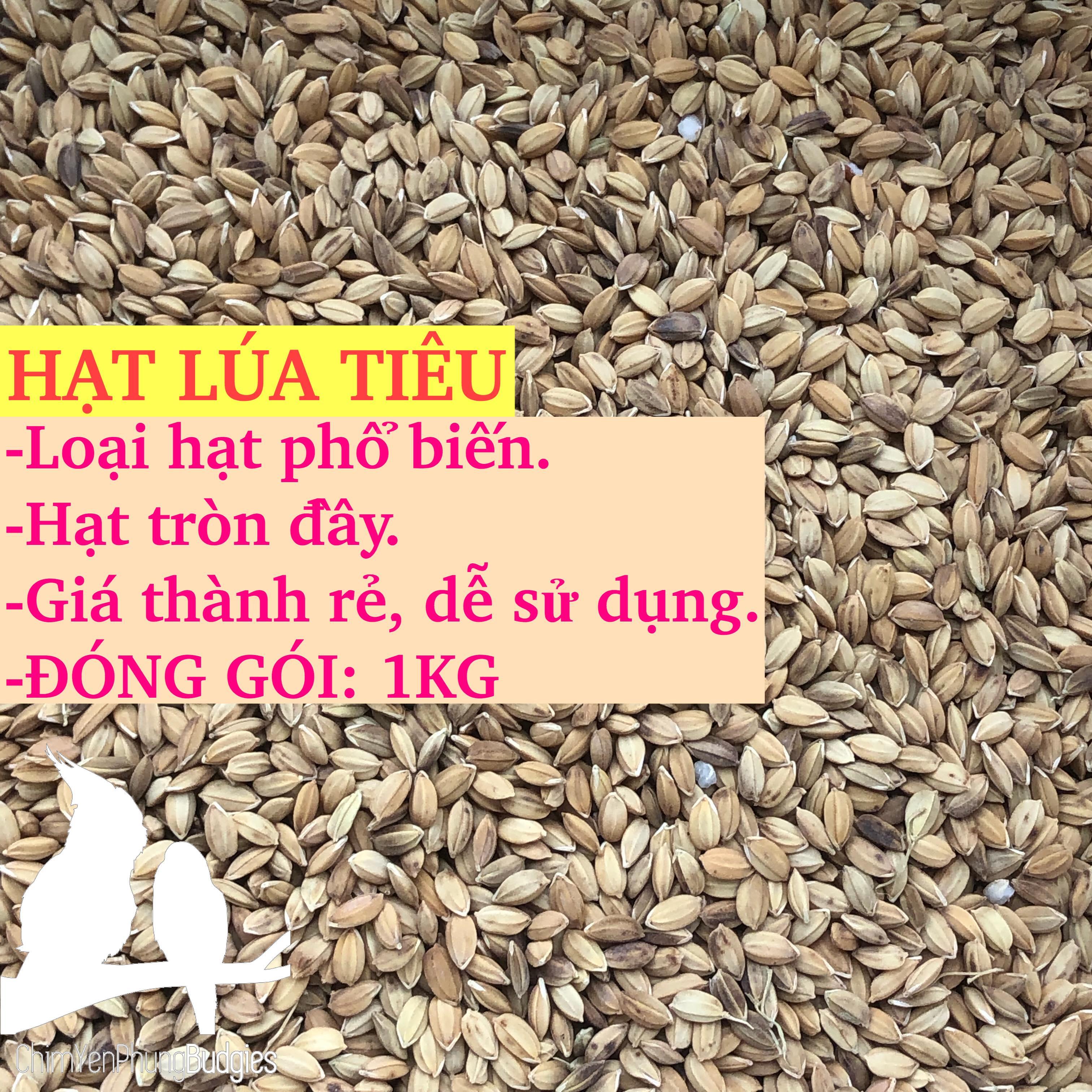 Kê đỏ & Lúa - thức ăn: Chim Cảnh, Gà.. (Combo 2kg)