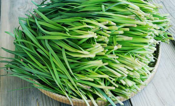[HCM]Gói 1g hạt giống hẹ cao sản