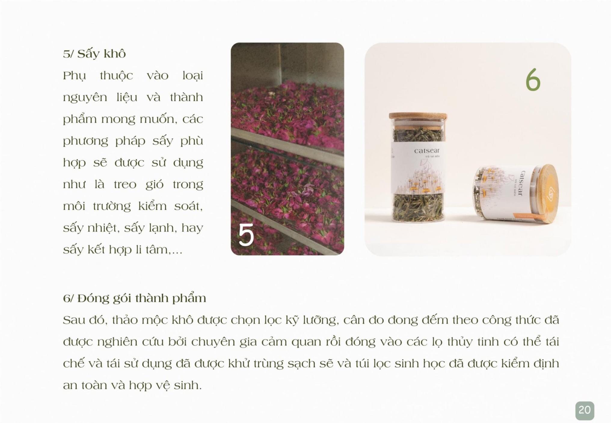 The Mind - Trà Tâm Trí (Hương thảo, Bạc hà, Sả chanh) LÀ NHIÊN