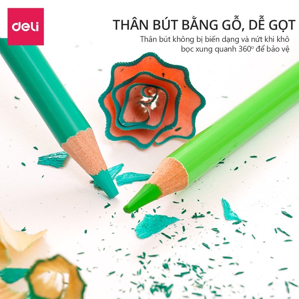 Chì màu Deili cao cấp Hộp Thiếc