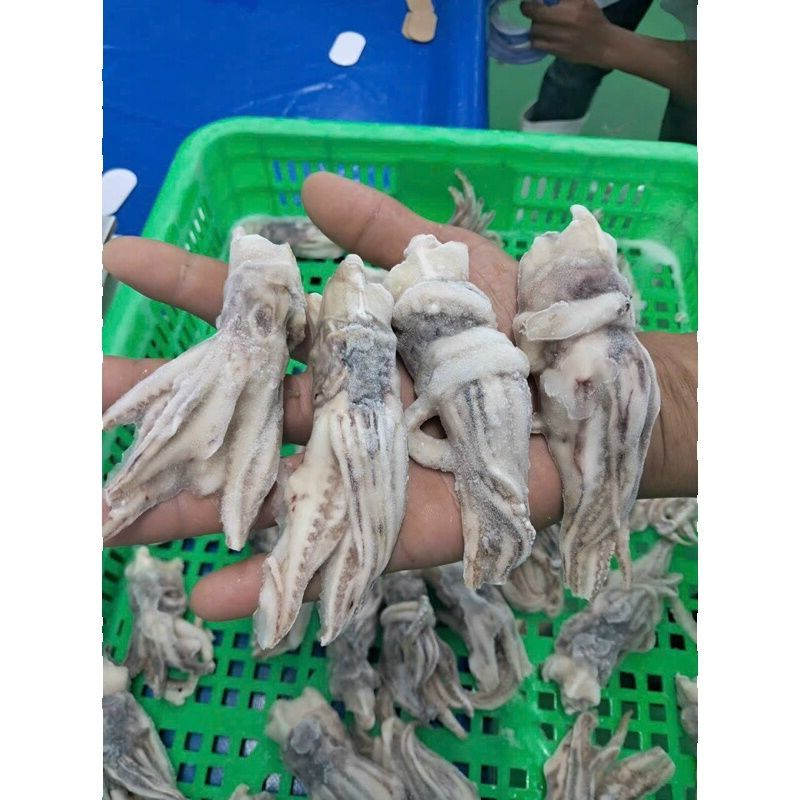 Đầu Mực Mini - 1kg net 7 (GIAO TPHCM)