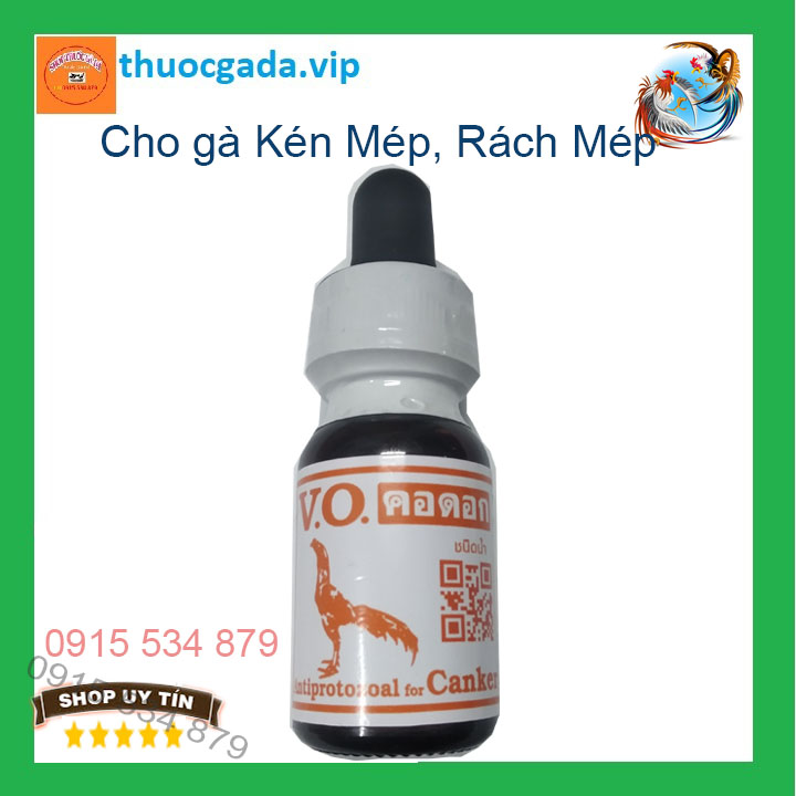 Kén mép VO Thái Lan