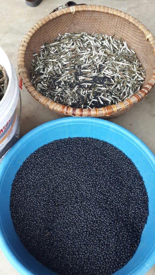 Trà đậu mix đậu đỏ đậu đen xanh lòng rang BEANS 1KG