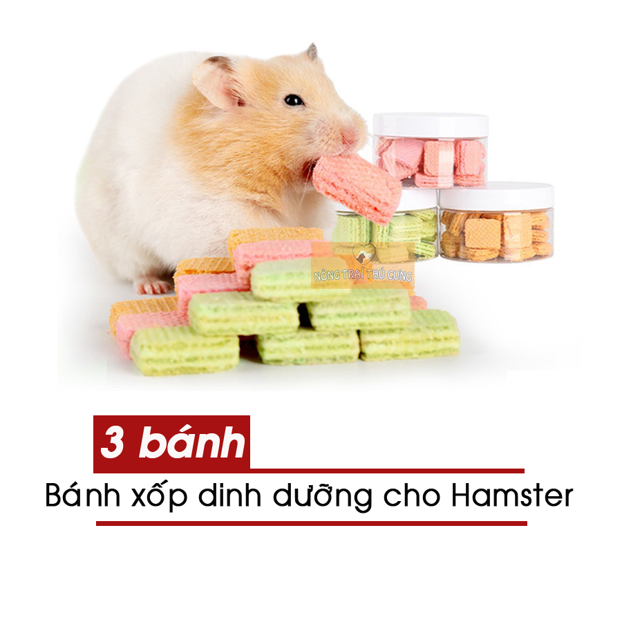Bánh Xốp Dinh Dưỡng Cho Hamster -