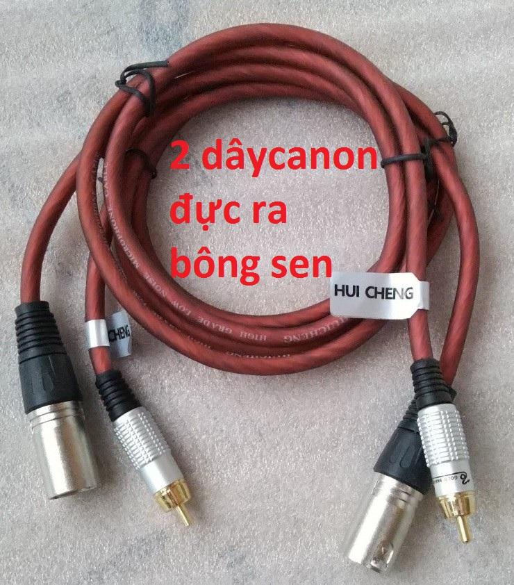 Bộ 2 dây chuyển đổi tín hiệu từ canon đực sang bông sen
