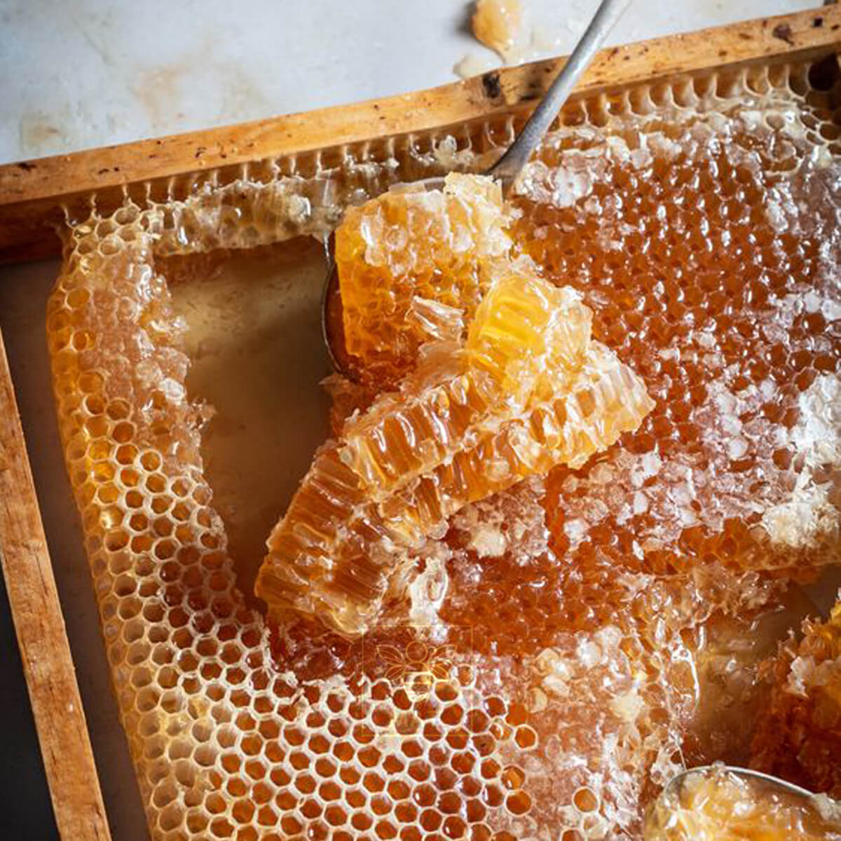 Mật ong nguyên chất hoa cà phê Daklak 1L