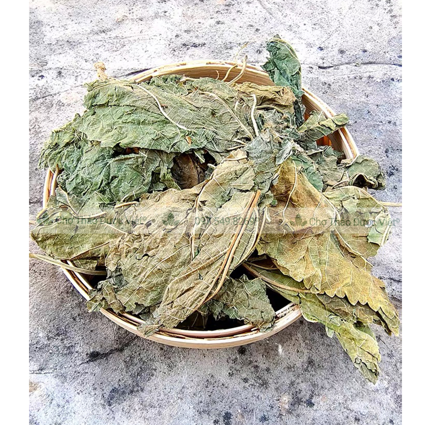 Lá dâu tằm khô 100g (Tang diệp)
