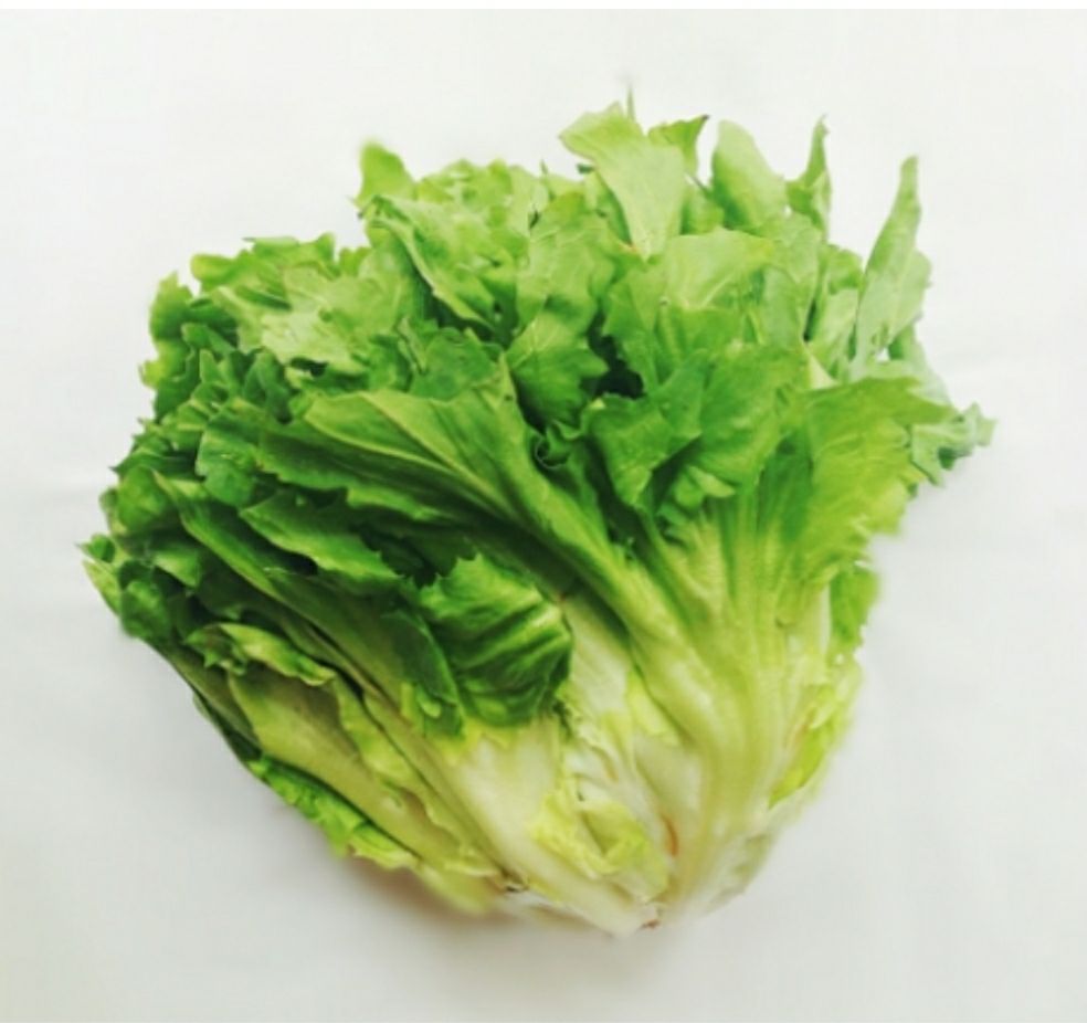 Xà lách carol- gói 10gr ( loại xà lách trộn dầu dấm)