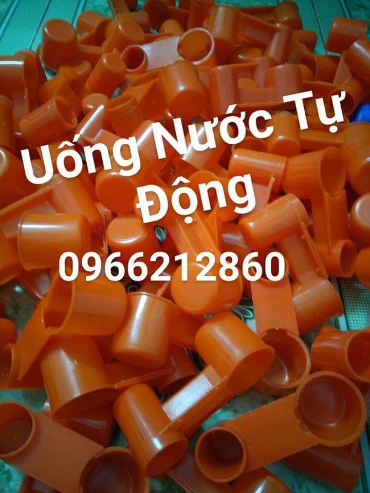 10 uống nước tự động cho gà