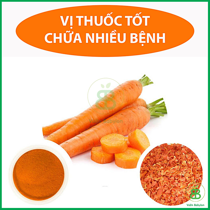 Hạt Giống Cà Rốt Cao Sản 2Gr