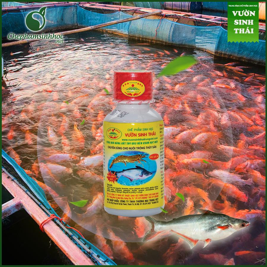 Vườn sinh thái thủy sản (Bổ sung dinh dưỡng, cải tạo ao nuôi)