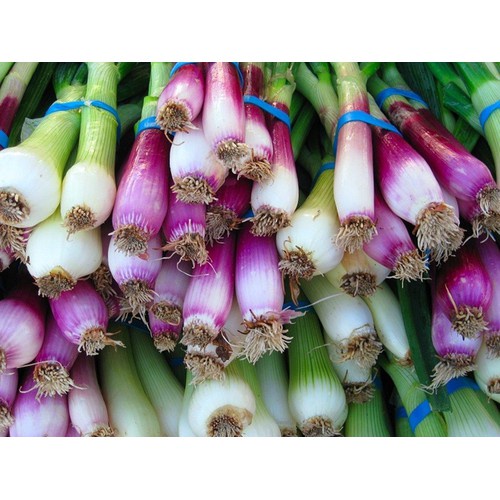 Hạt giống hành lá gốc tím - gói 2 gram
