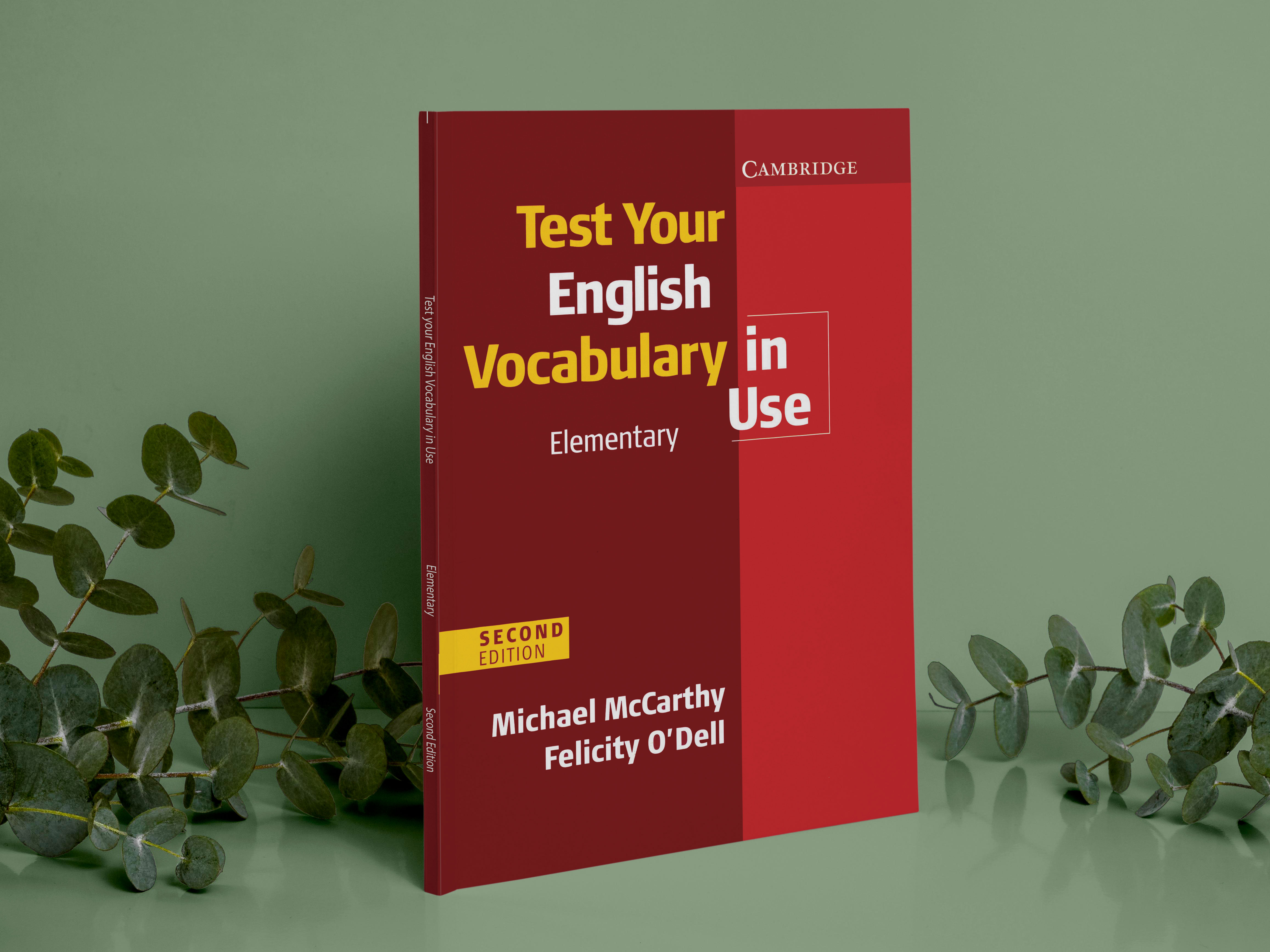 [Sách] Cambridge Test Your English Vocabulary in Use : Elementary ( Second Edition) with Key