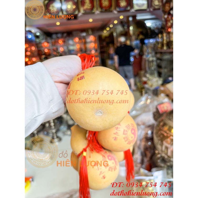 Bầu hồ lô thật phong thủy 2 cỡ