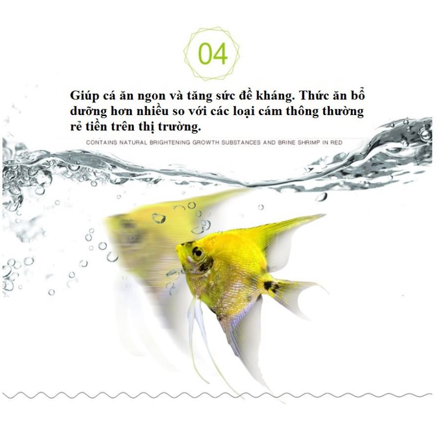 Artemia sấy khô đóng zip 150ml/50g