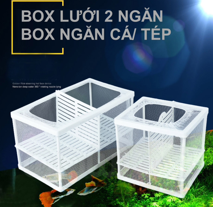 Box Lưới - Lồng Cách Ly, Dưỡng Cá Tép Bằng Vải Lưới