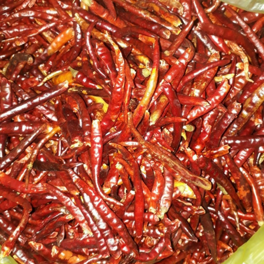 100g Ớt Quả Khô Trùng Khánh, Hàng chuẩn