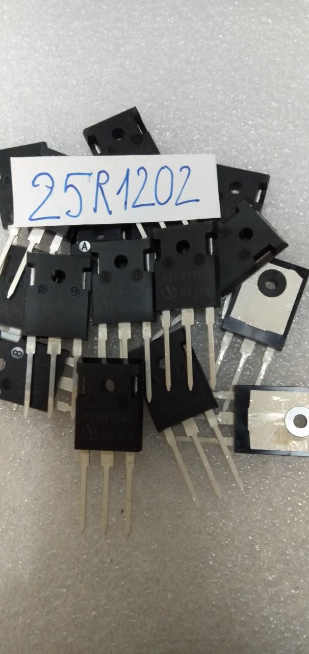 5 Con Sò Bếp Từ 25R1202