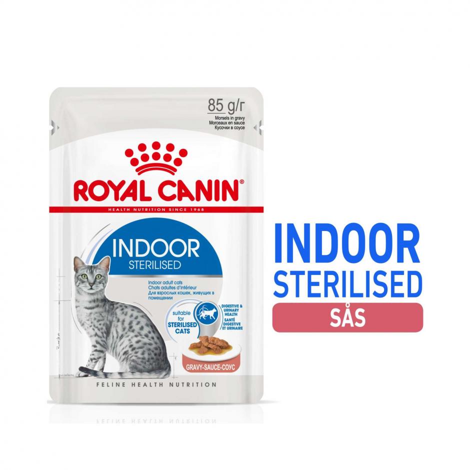 Pate ROYAL CANIN 85g FREE SHIP TRỌN BỘ 30 vị