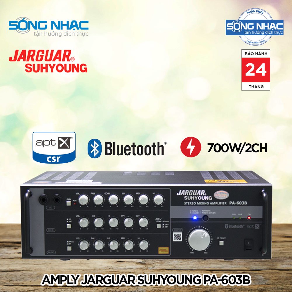 [HCM]Amply katoke JARGUAR SUHYOUNG PA 603B