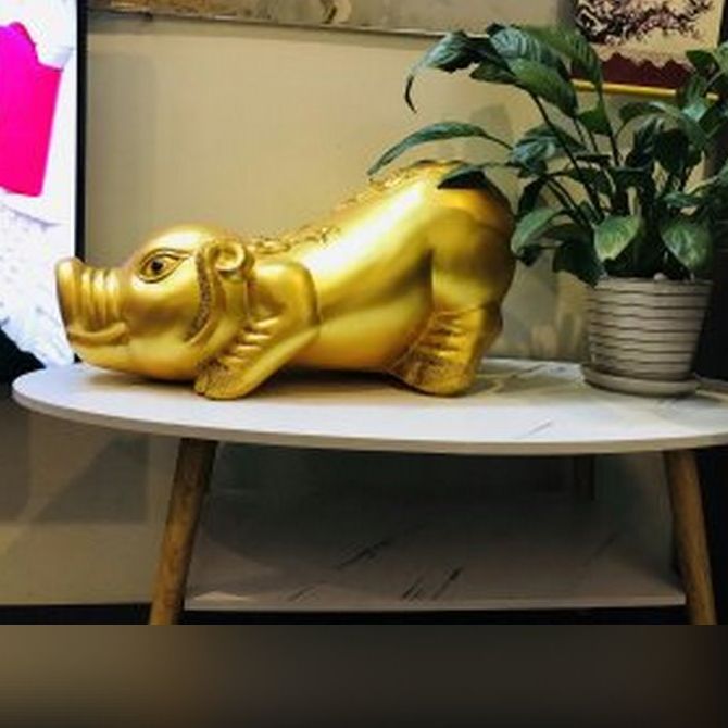 Heo đất khổng lồ dài 60cm