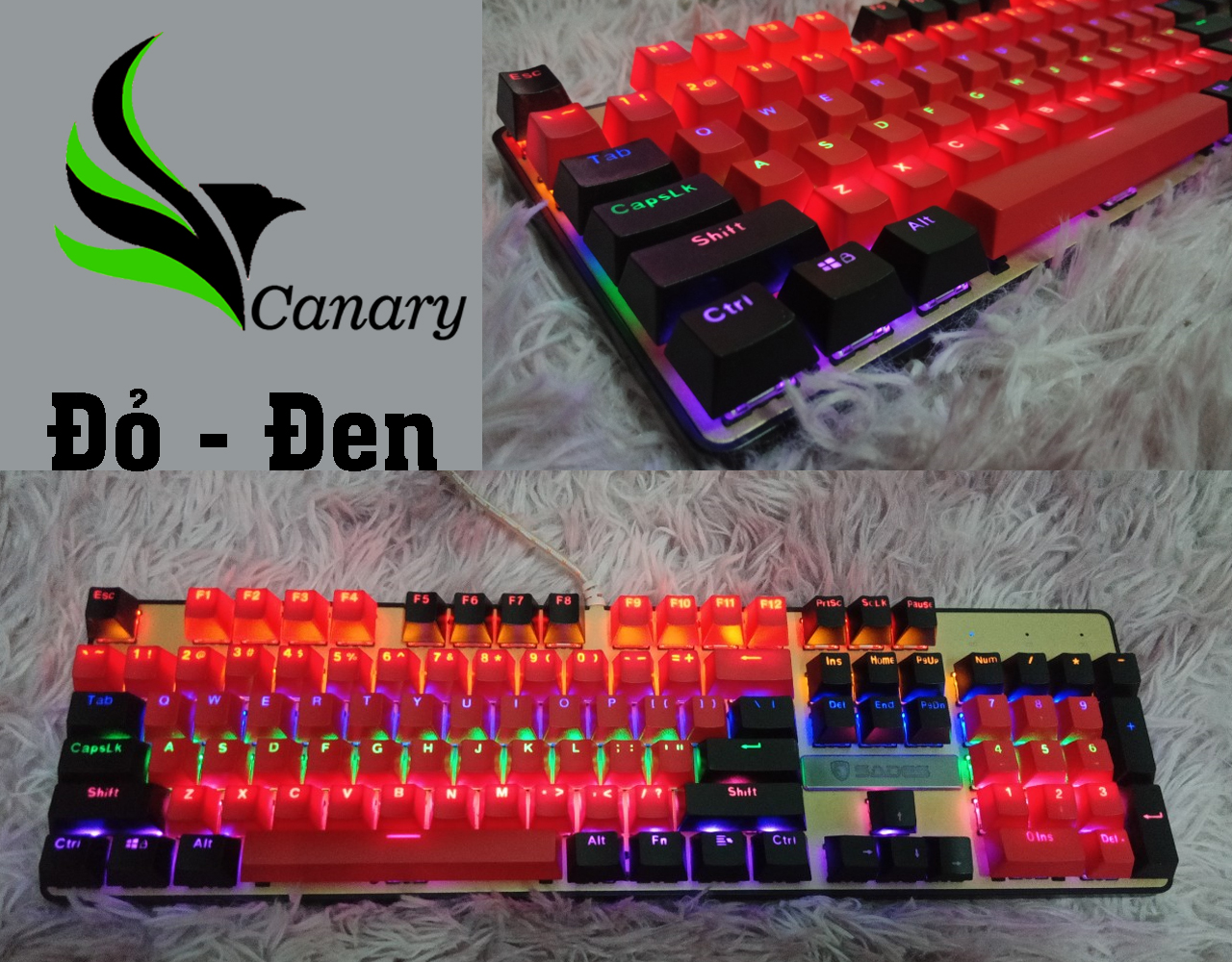 [HCM]Set nút bàn phím (Keycap) ABS xuyên led 104 nút