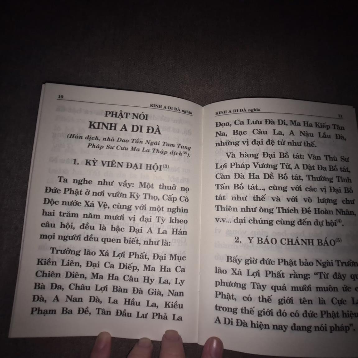 Kinh A Di Đà Nghĩa HT Thích Trí Tịnh BÌA CAM