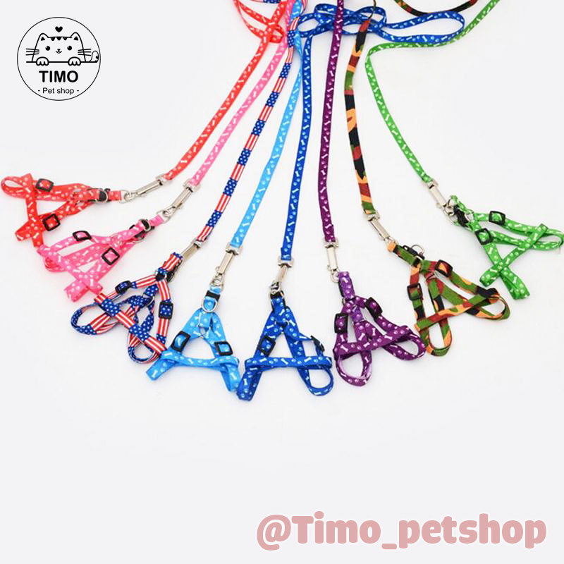 Dây Dắt Thú Cưng 1 Lớp