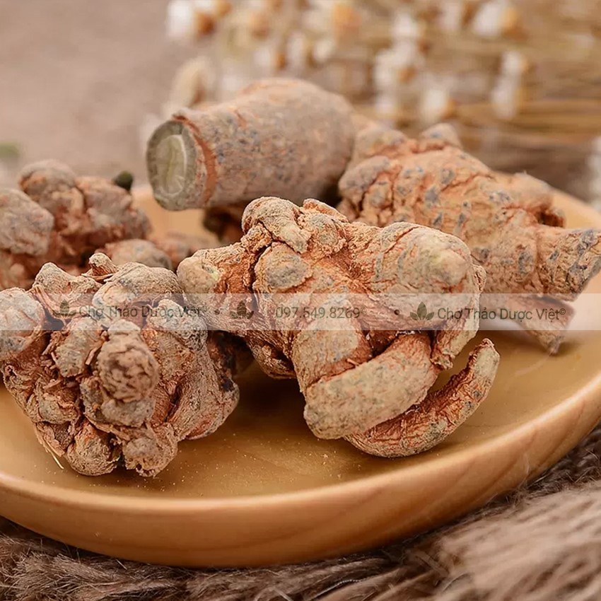 Củ Tam Thất Bắc 1Kg (7 Củ/100g)