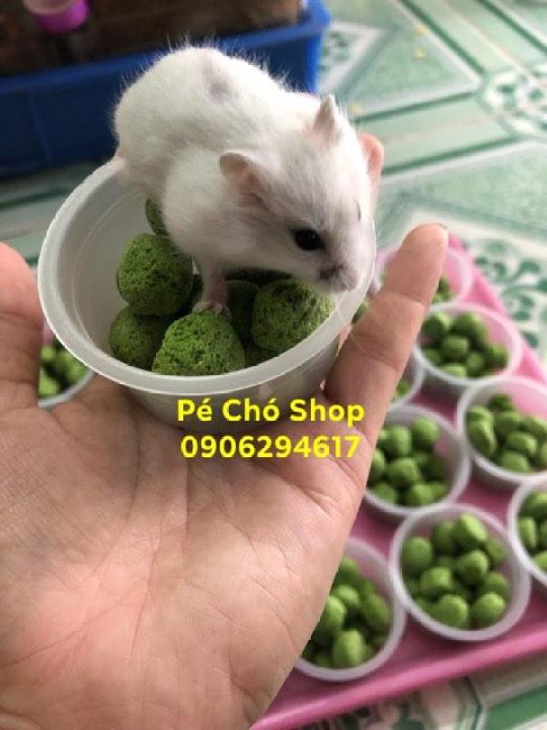 Hủ Bánh Bò Xanh(thức ăn dinh dưỡng và mài răng)cho hamster,sóc...