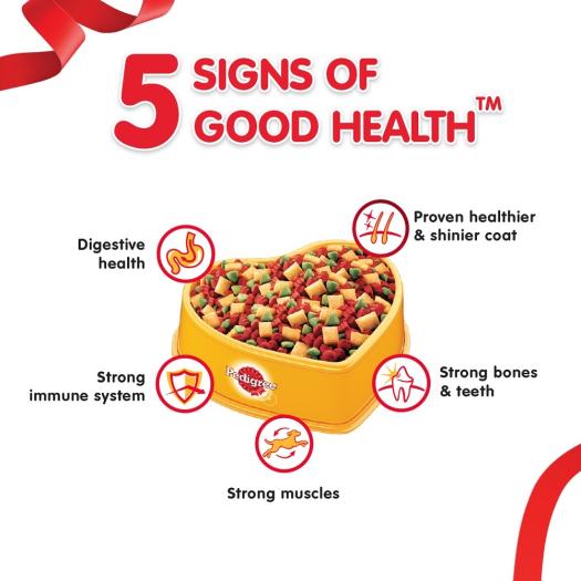 [HCM]Thức ăn hạt dành cho Chó con Pedigree