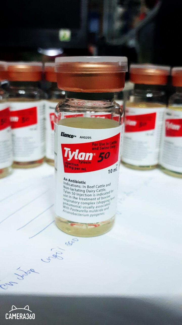 Tylan 50 trị tang, khò khè cho gà đá