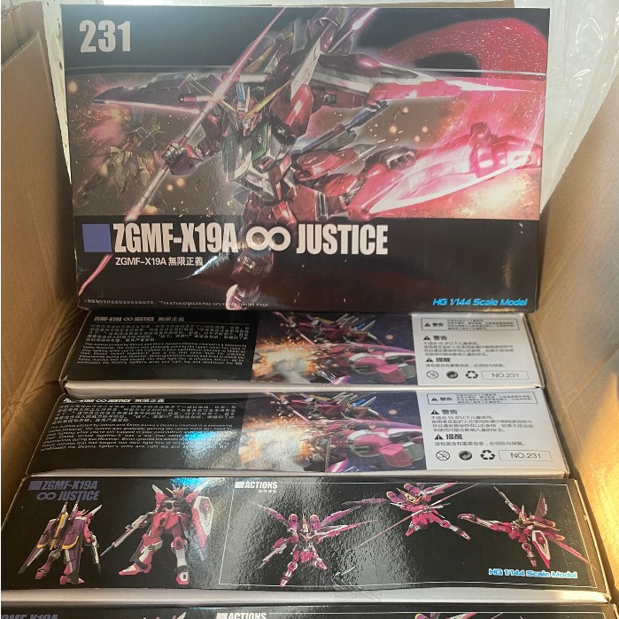 Mô hình lắp ráp HG CE Infinite Justice 231