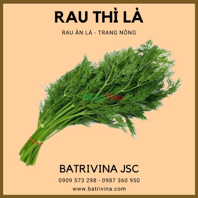 Gói 10gr hạt giống rau thì là trang nông