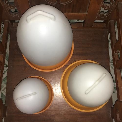 Máng Uống Cho Gà Vịt 2, 4, 8 Lít