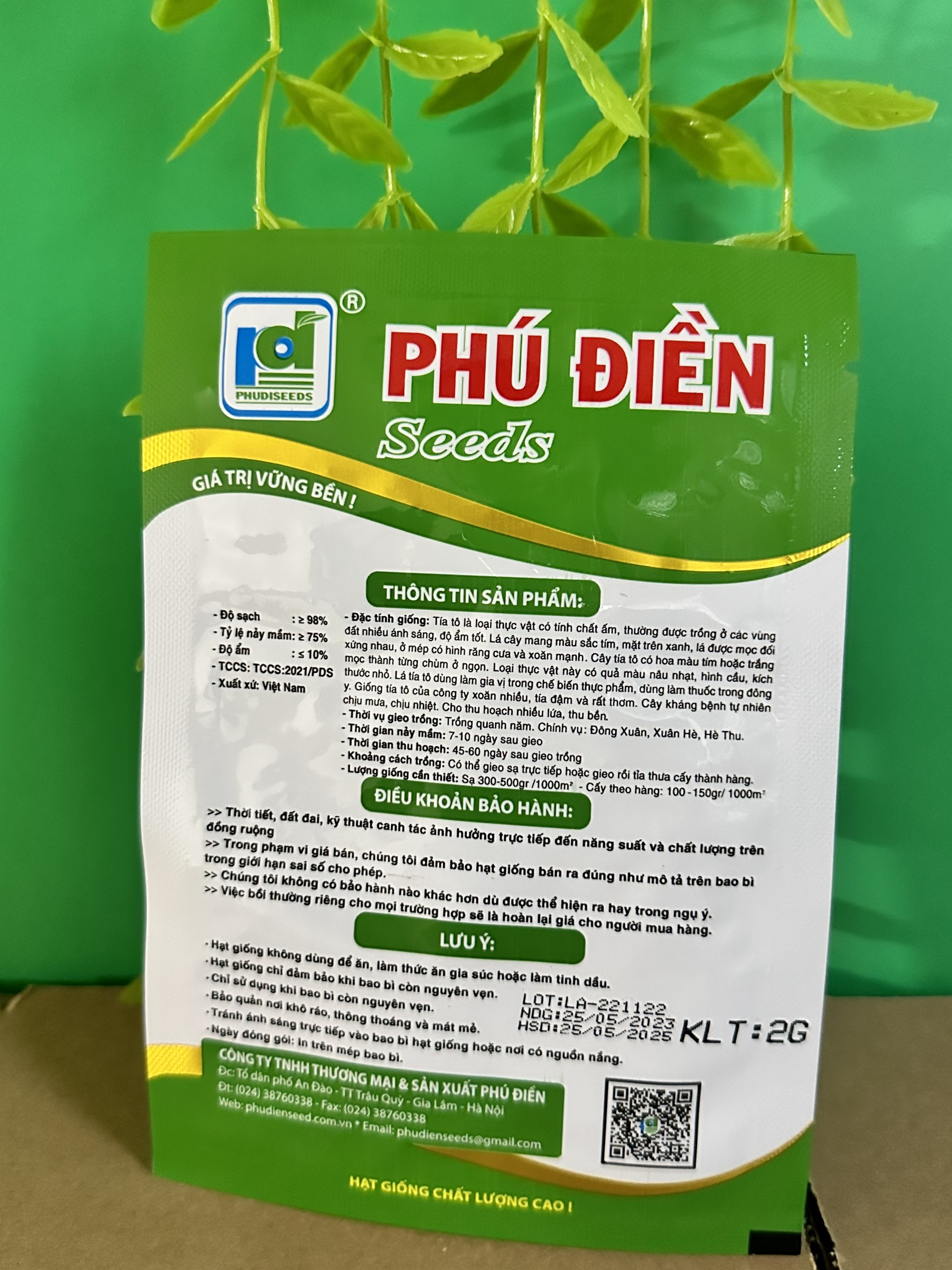 Hạt giống tía tô cao sản