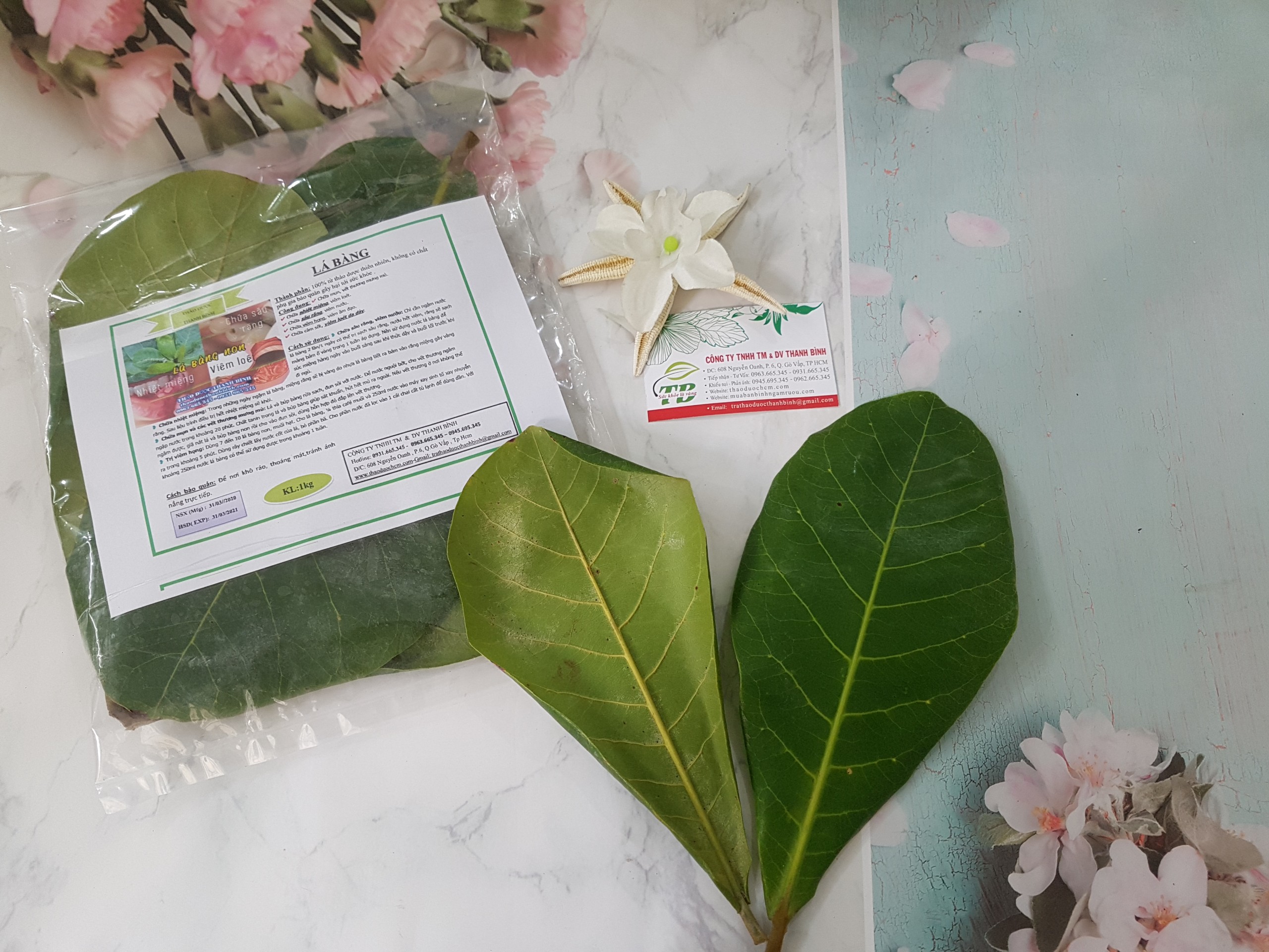 Lá Bàng  Tươi 1KG - Dược Liệu Thanh Bình