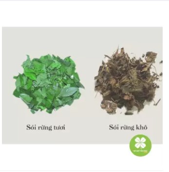 Cây sói rừng (1kg khô) -LV061