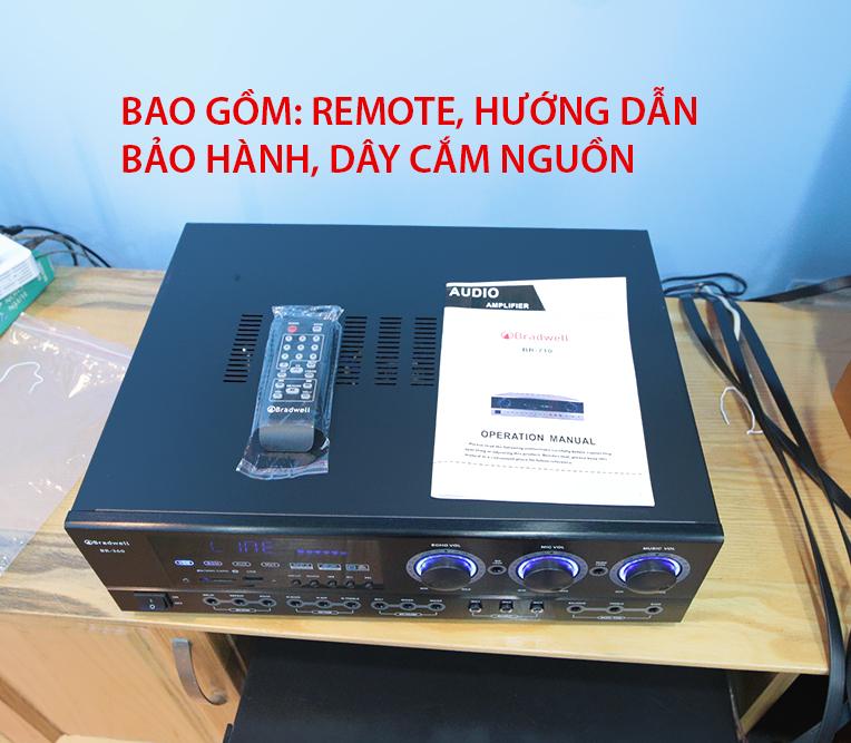 Amply karaoke Bradwell BR380