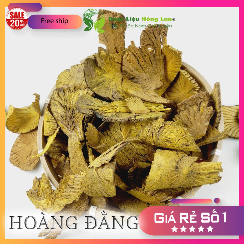 [FreeshipMAX] Combo 2kg Hoàng Đằng khô - duoclieuhonglan