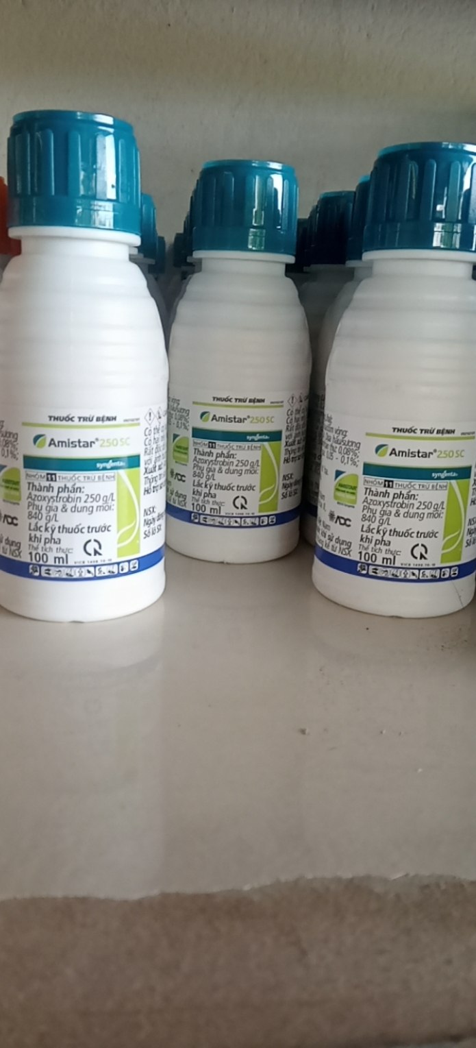 Thuốc trừ bệnh Amistar 250SC (100ml) SYNGENTA.