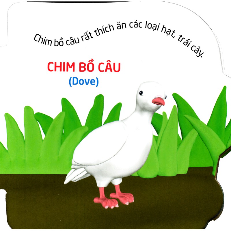 Sách: Thế Giới Trong Mắt Em - Chim