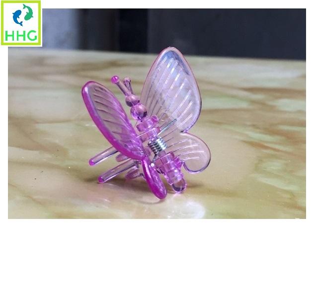 TÚI 100 KẸP BƯỚM 7 MÀU TRỒNG LAN