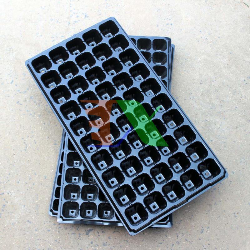 Set 5 tray nursery tree, nursery tray beads, blister ươm (50 holes)